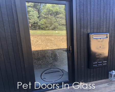 Dog Door Cat Door in Glass