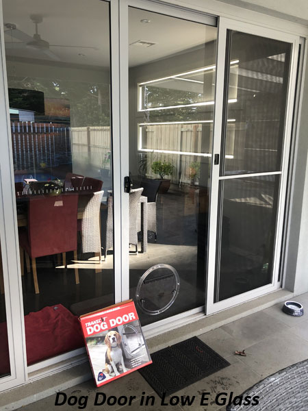 Dog Door Cat Door in Glass