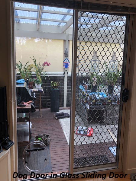 Dog Door in sliding Door