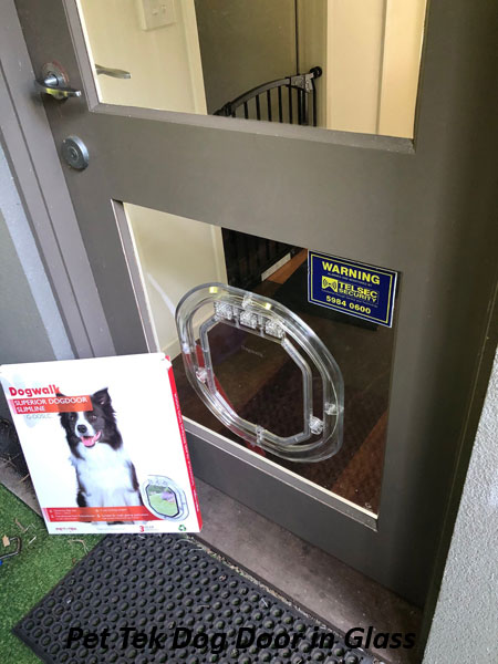 Large Dog Door